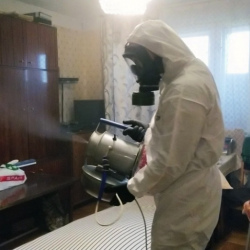 Дезинфекция от клопов в Ковылкино